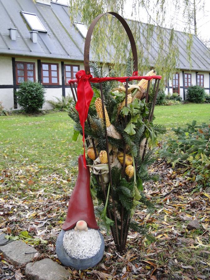 Dyssegaard B&B Skallerup Exterior foto